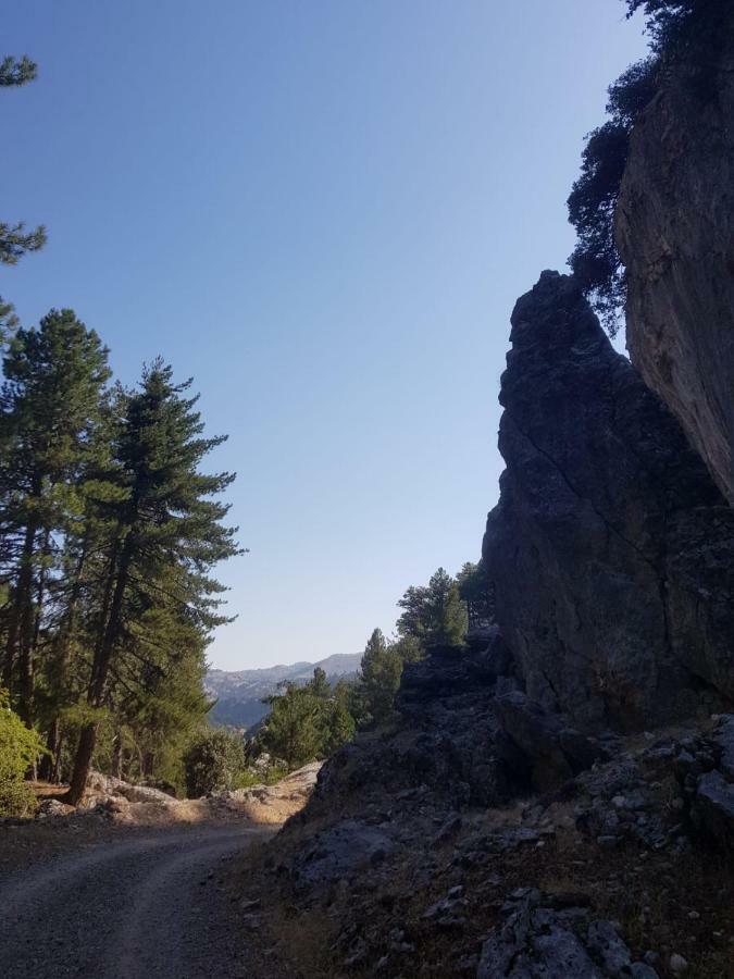 Alojamientos Castillo De La Iruela Eksteriør bilde
